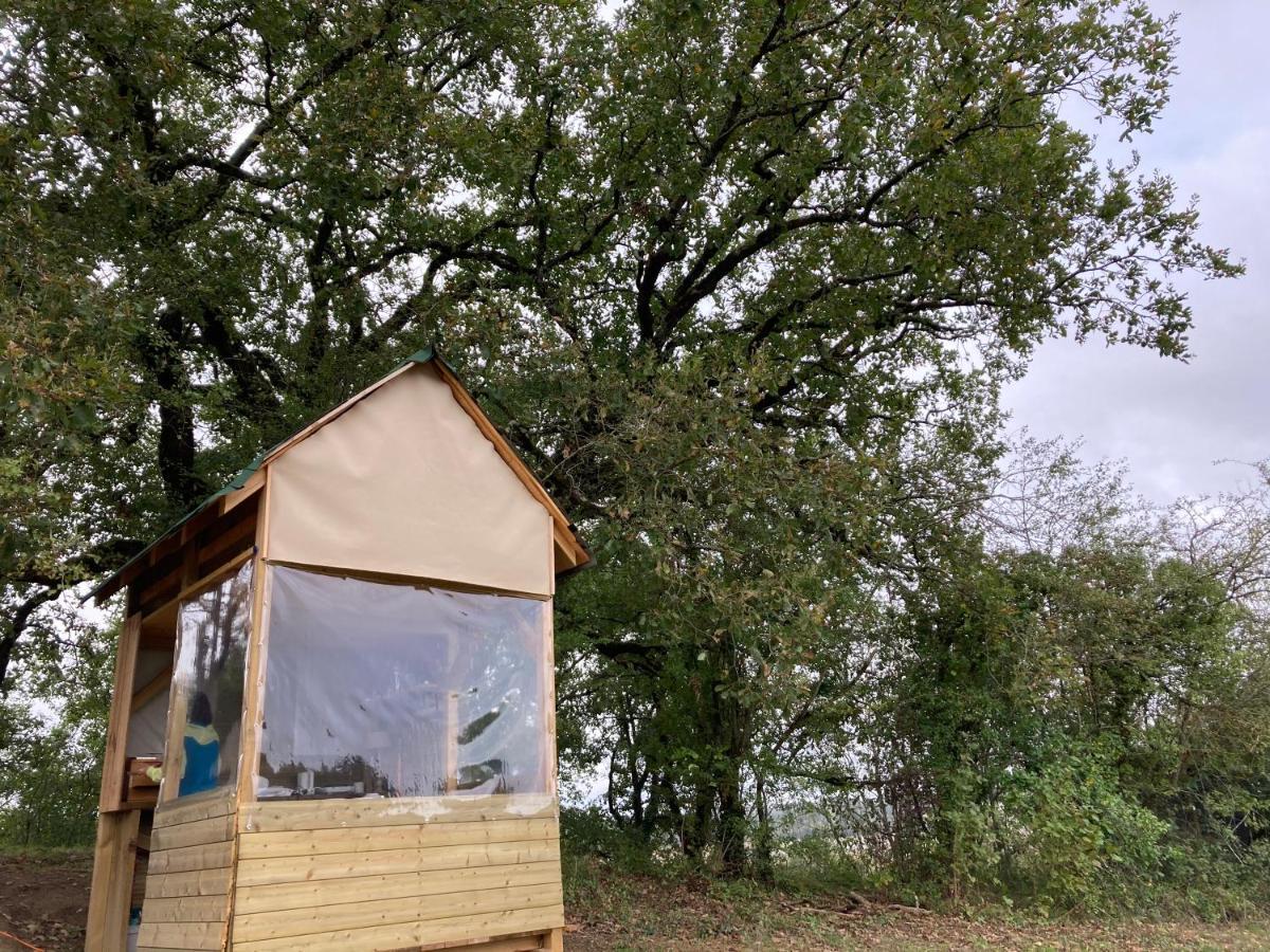 Cabane Bivouac Avec Echelle A L'Ombre Des Chenes Idrac-Respailles Exterior photo